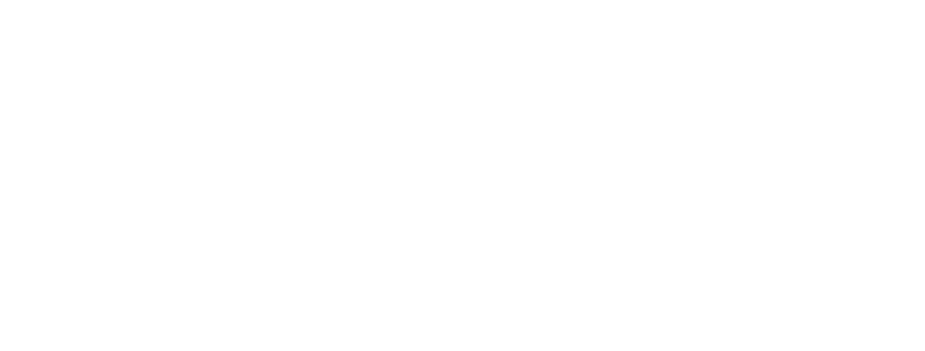 logo brenntag