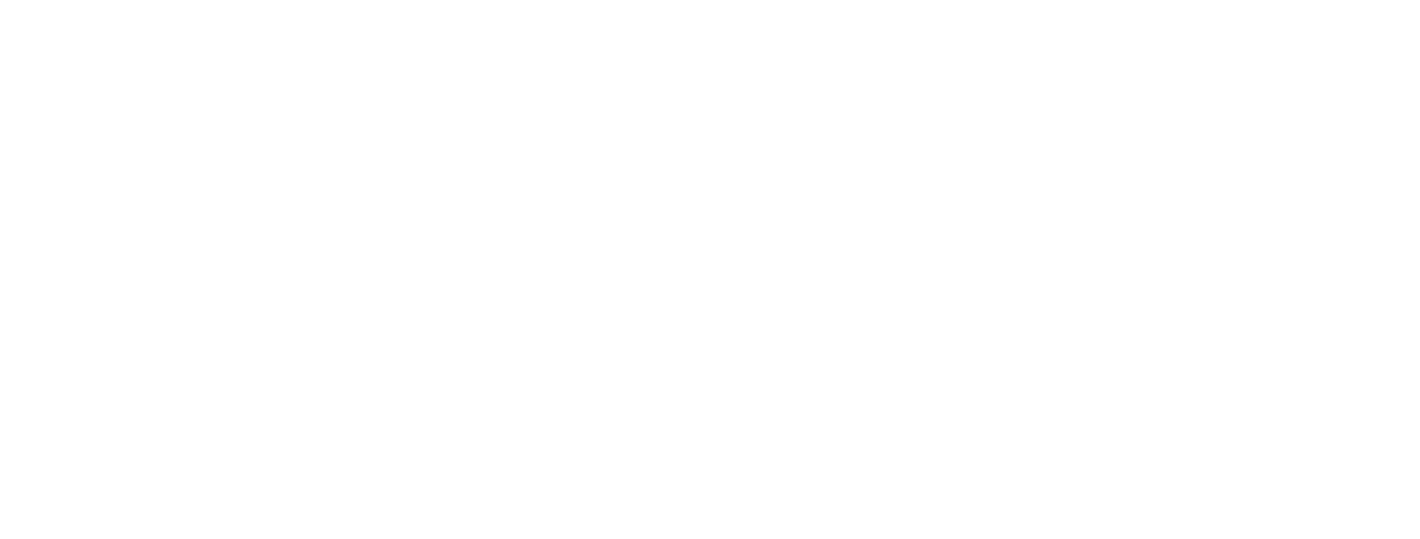 logo bomag