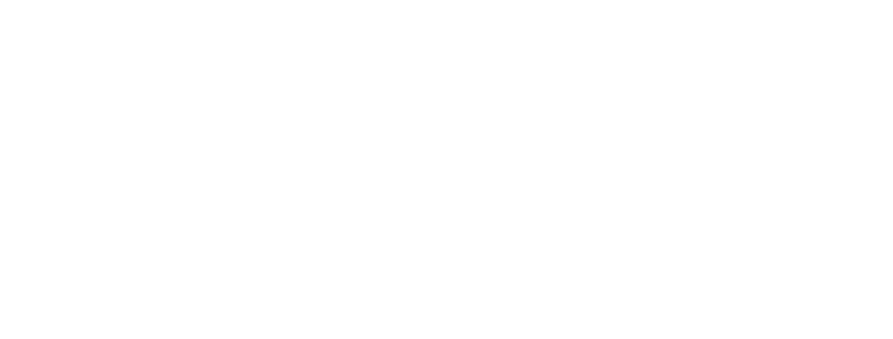 logo dieci