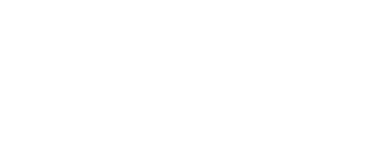 logo fiat professional